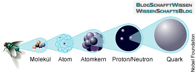 Materie-Aufbau: Elektronen und Quarks sind die kleinsten Einheiten