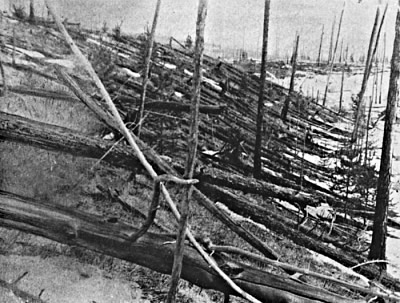 Waldschäden durch das Tunguska-Ereignis